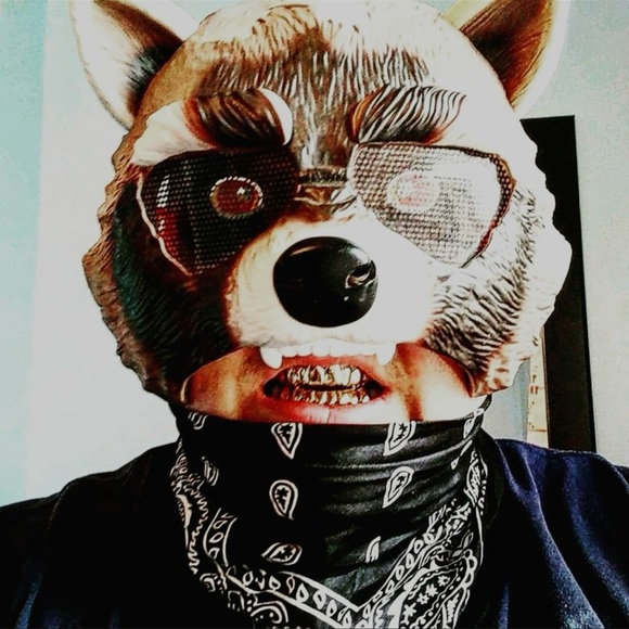 Meet your Posher, Robin - Picture 9 of 11